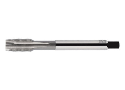 WSG MASCHIO MACCHINA 6121 HSS-E PER FORI PASSANTI SX MF 8X1