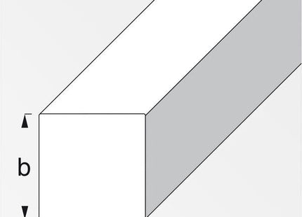 ALFER BARRA QUADRATA ALLUMINIO ANODIZZATO ARGENTO MM10X10 MT1