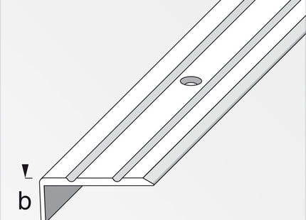 ALFER PROFILO ANGOLARE DI CHIUSURA ALLUMINIO OTTONE MM25X10 MT1