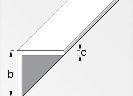 ALFER ANGOLARE LATI UGUALI ACCIAIO INOX MT.1