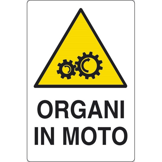 SEGNALE ORGANI IN MOTO ADESIVO MM 60X 40